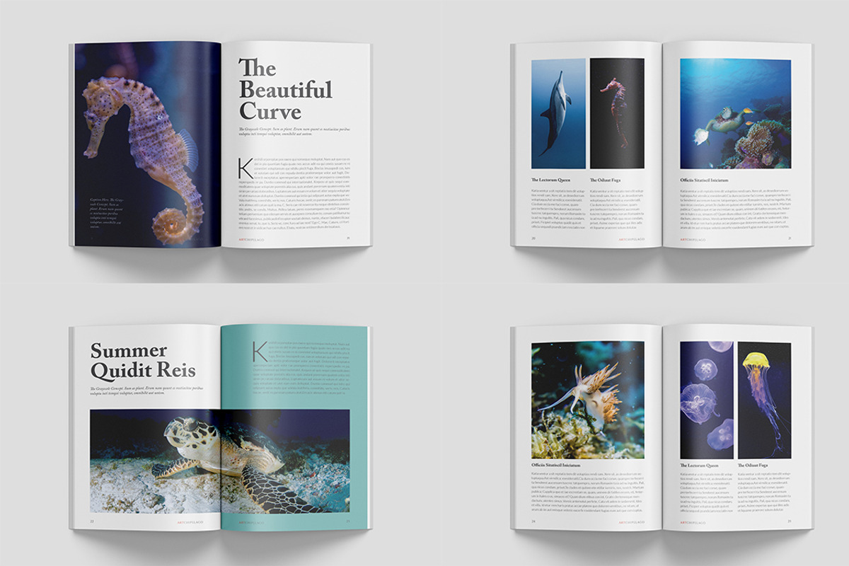 A5 Wildlife Magazine, a Magazine Template by Bookrak Graphic Design (Photo 4 of 7)