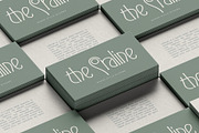 Reina Sofia - Vintage Display Serif, a Serif Font by SilverStag Type Foundry (Thumbnail 22 of 30)