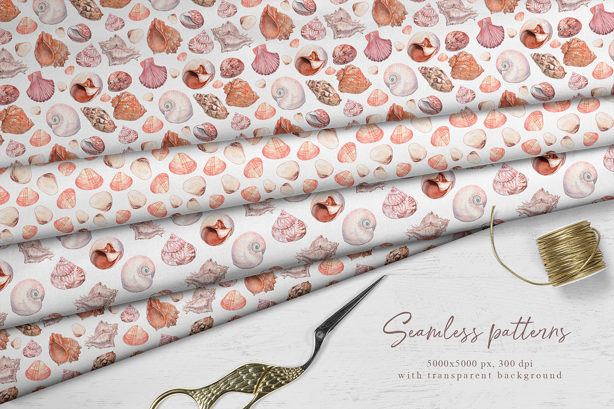 Sea shells Watercolor collection, an Illustration by CrystalinaShop (Photo 5 of 5)