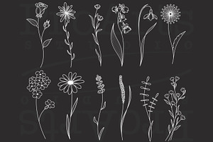 Minimal Botanical Brushes, Botanic