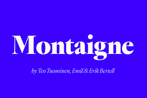 Montaigne Classic Serif, a Serif Font by Fenotype
