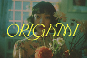 Hearts Entangled Display Typeface, a Script Font by Nicky Laatz (Thumbnail 4 of 37)