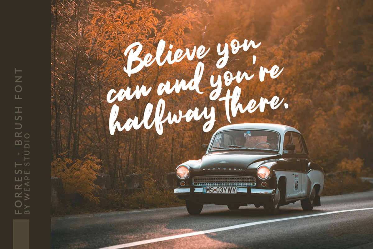Forrest - Brush Font preview 3