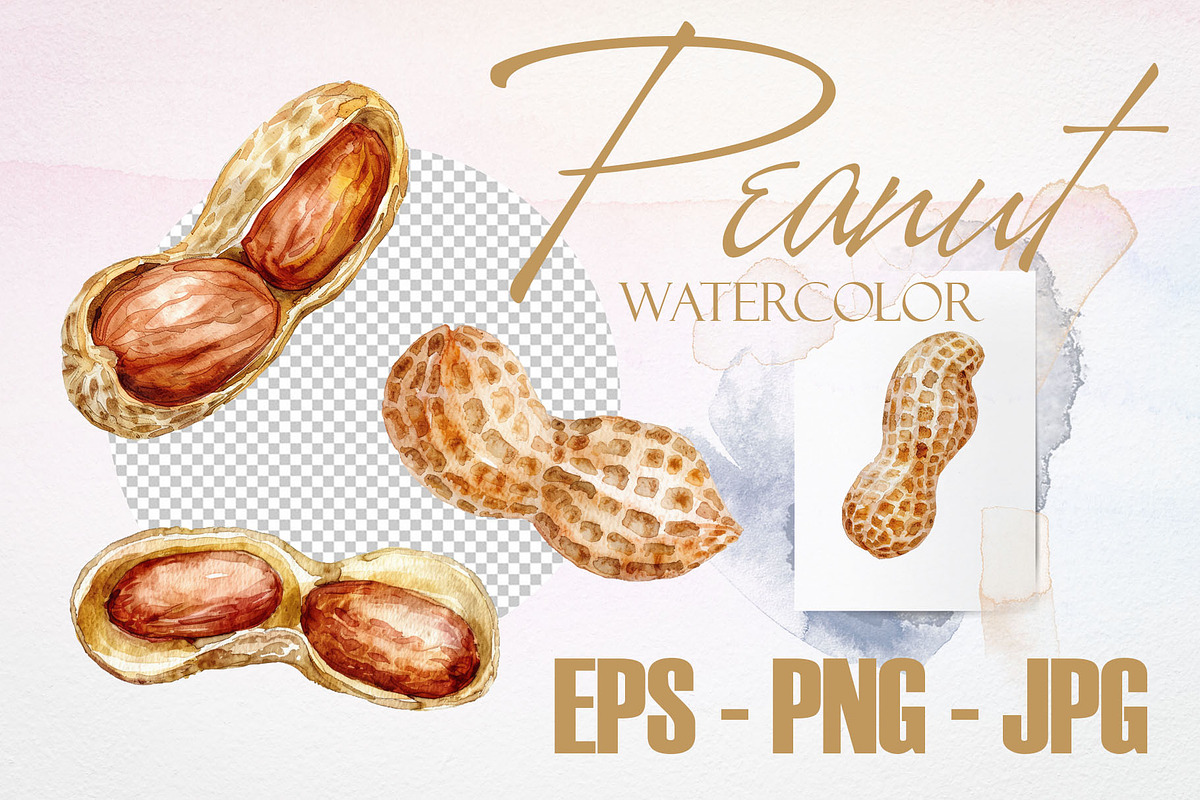 Watercolor Peanut Vector Set, a Pattern Graphic by Deckar_art (Photo 3 of 3)