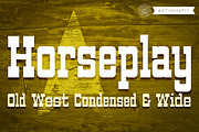 Horseplay AOE Pro, a Slab Serif Font by Astigmatic (Thumbnail 1 of 6)