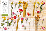 Fresh & Dried Floral Flay Lay Vol 2, a Product Mockup by Eclectic Anthology (Thumbnail 4 of 7)