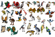 35 Bird Hand Drawing Illustration, an Illustration by Sani crunch (Thumbnail 2 of 7)