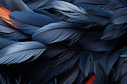 Feathers. 54 images, an Animal Illustration by Handmadefont (Thumbnail 3 of 12)