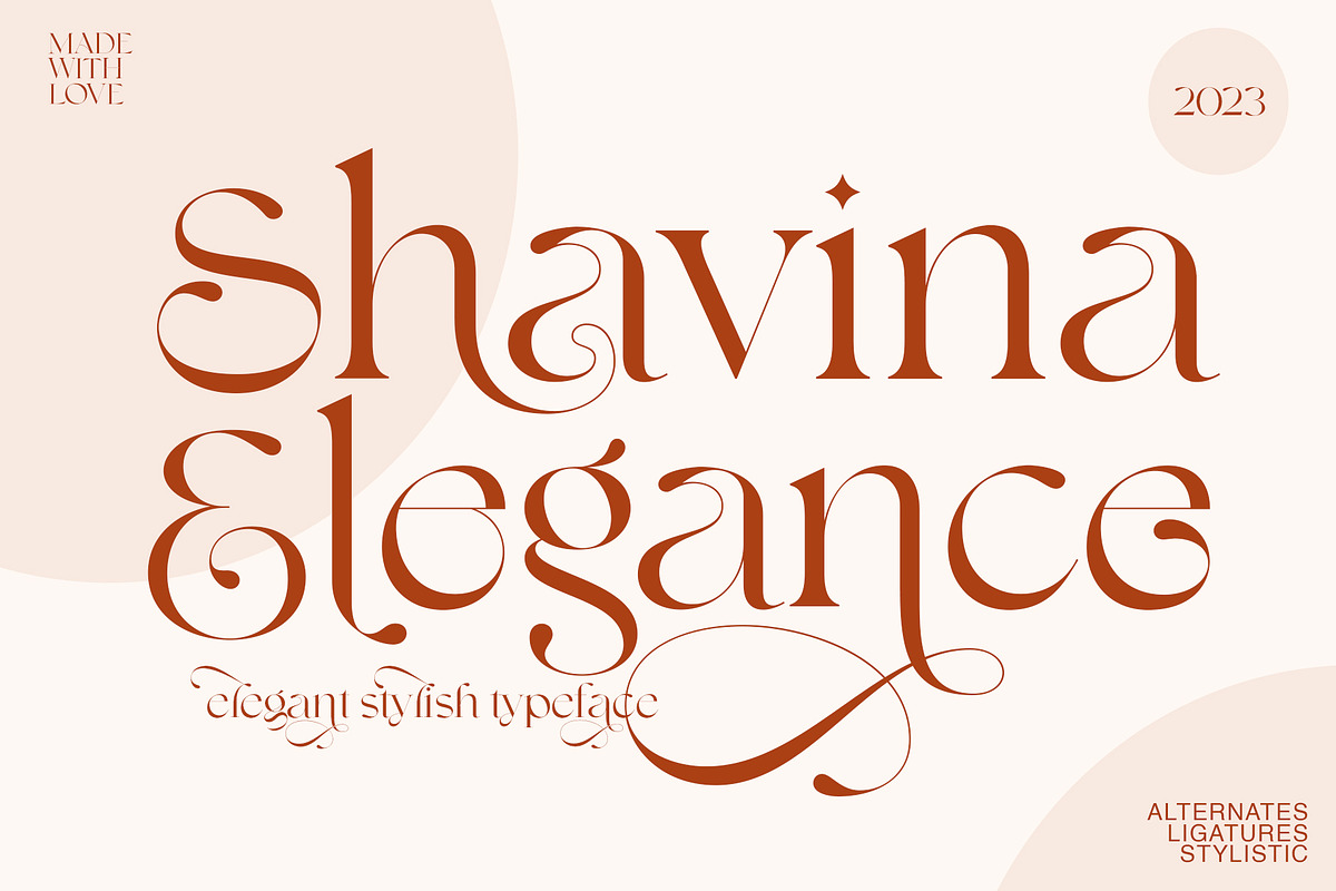 Shavina Elegance, a Serif Font by INKSUN™ (Photo 1 of 12)