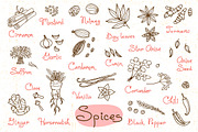 Spices - Design Set, a Food Illustration by Baksiabat (Thumbnail 2 of 2)