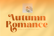 Storila, a Serif Font by zeenesia (Thumbnail 8 of 12)