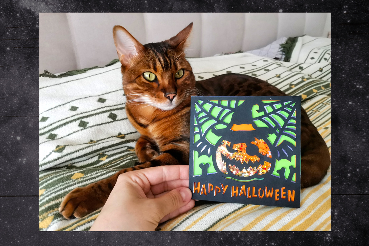3D Halloween Card Confetti Shaker, a Card Template by Digital_Craftyfox (Photo 20 of 24)