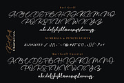Karl Geoff, a Script Font by Masanis (Thumbnail 12 of 14)