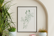 Botanical Line Art Illustrations, a Decorative Illustration by youtoview (Thumbnail 2 of 15)