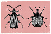 Linocut Lovers Companion - Affinity, a Brush Add-On by The Artifex Forge (Thumbnail 4 of 13)
