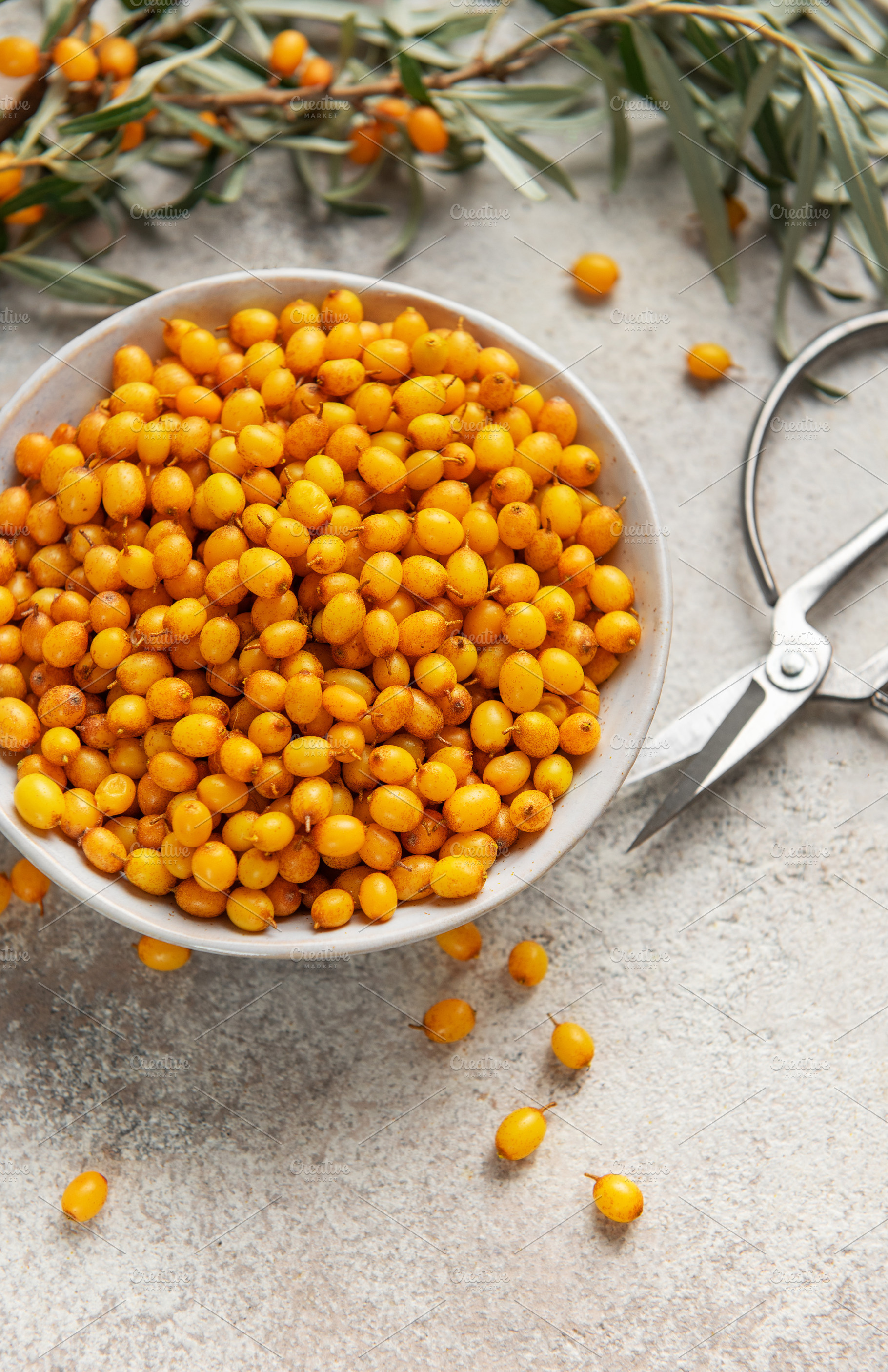 Bowl of fresh sea buckthorn berries with green branch, a Food & Drink Photo by Olena Rudo