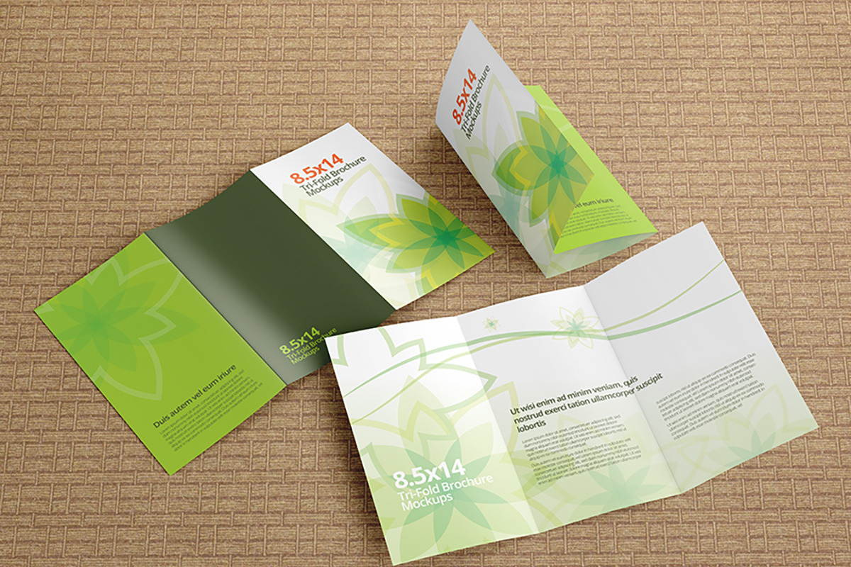 Trifold Brochure Mockups 8.5x14 size, a Mockup by Vectogravic Design
