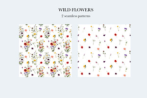 Wild Flowers Fall Summer Clipart