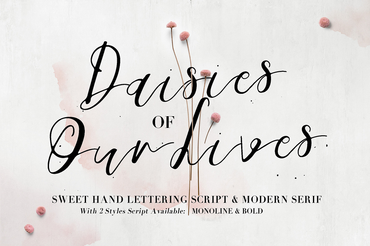 Daisies of Our Lives