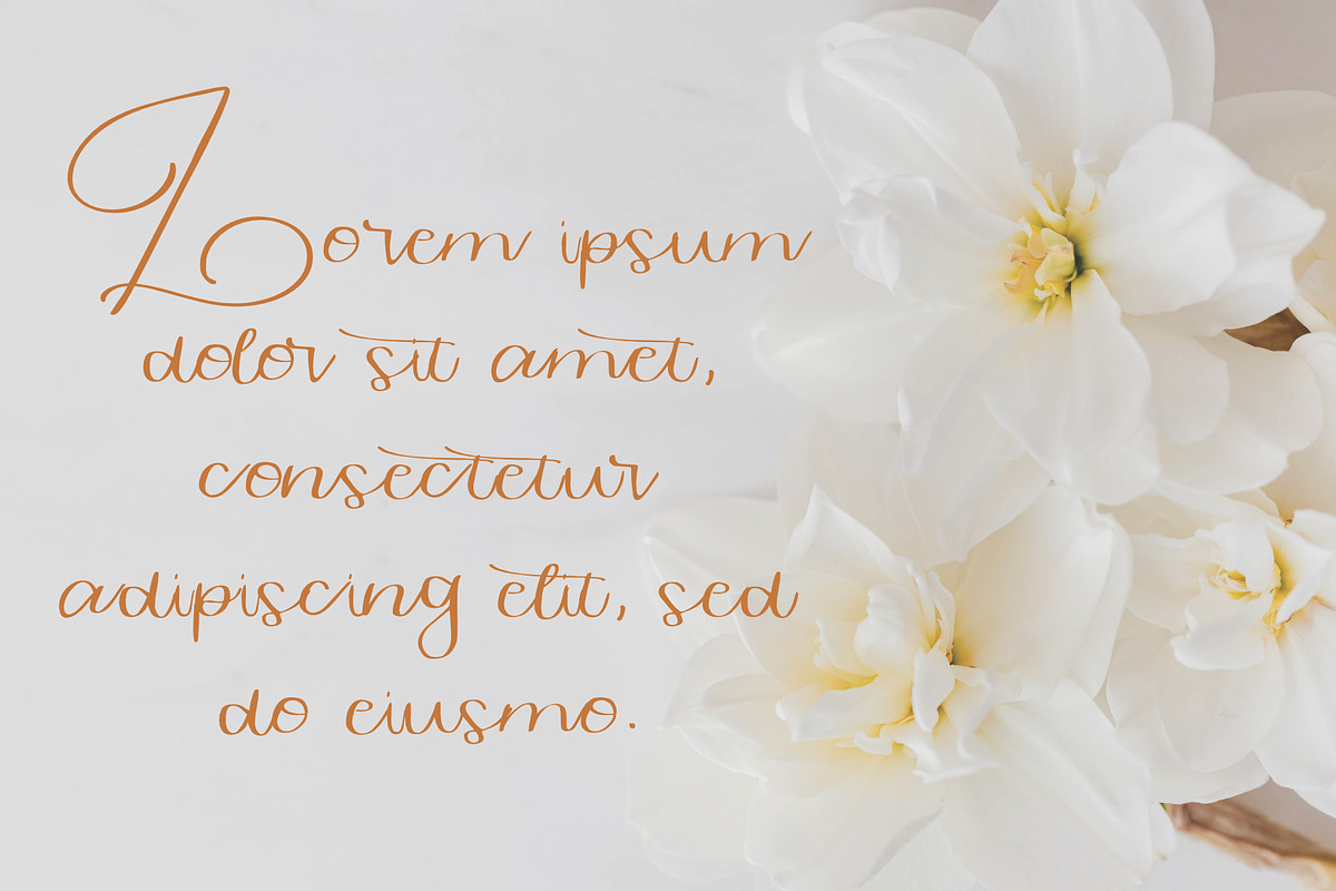 hantaran font, a Script Font by Mariyana (Photo 3 of 5)