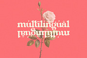 Mediena – Modern Retro Alternates, a Serif Font by Qweera Studio (Thumbnail 9 of 12)