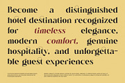 Ranste – Elegant Luxury Serif Font, a Serif Font by Graphicxell (Thumbnail 5 of 8)