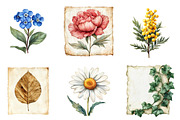 Vintage Botanical Paper Clipart PNG, an Illustration by SinaCreation (Thumbnail 4 of 5)