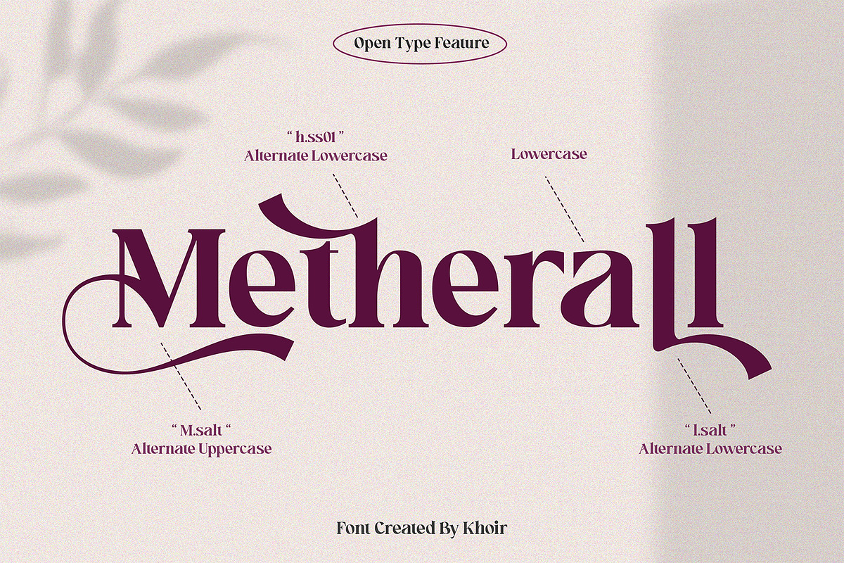 Bligk - Vintage Modern, a Serif Font by Khoir (Photo 4 of 15)