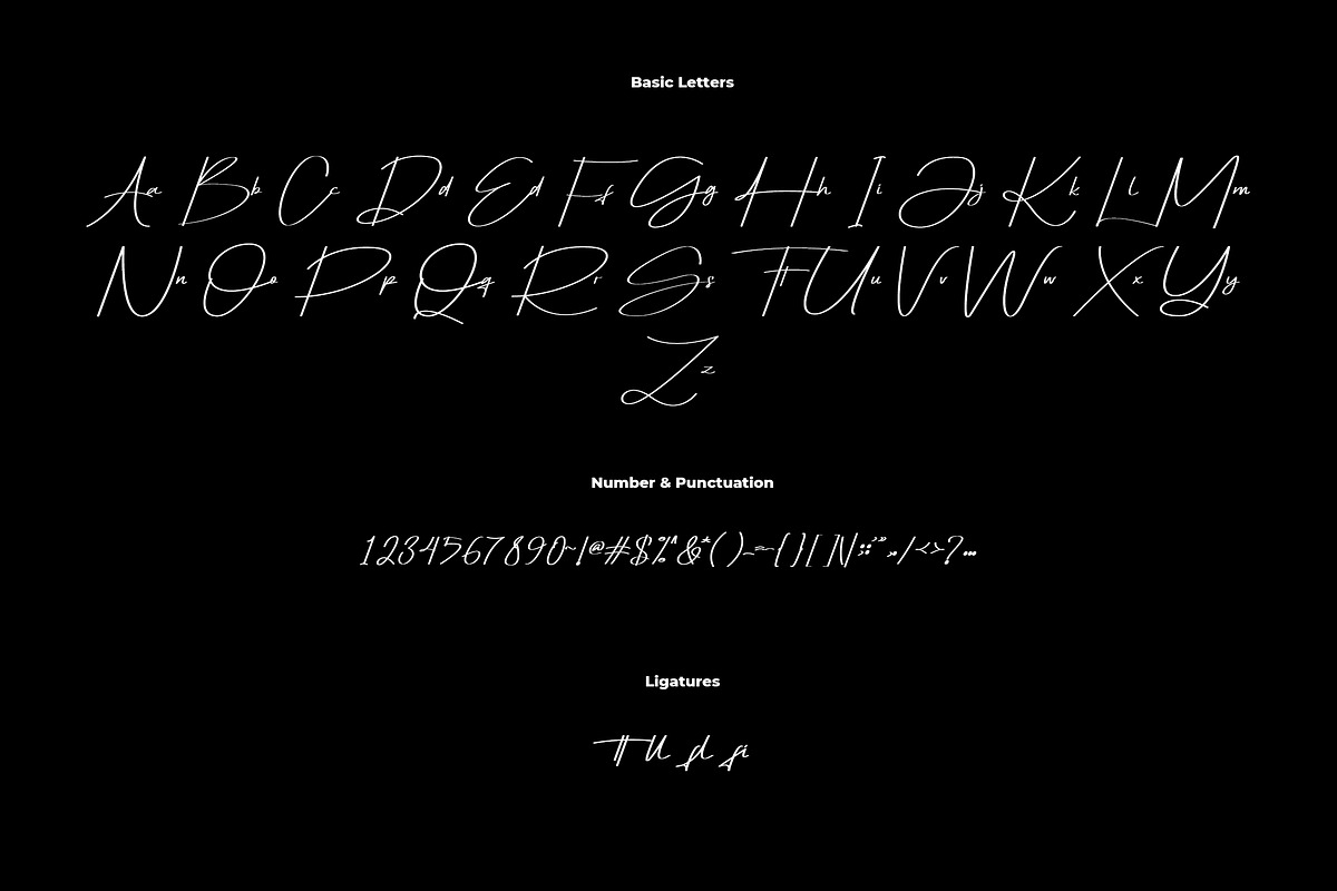 Honofly Font | Modern Script, a Script Font by Jadatype.id (Photo 7 of 8)