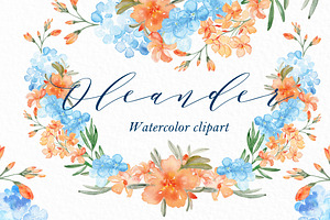 Oleander. Watercolor Clipart