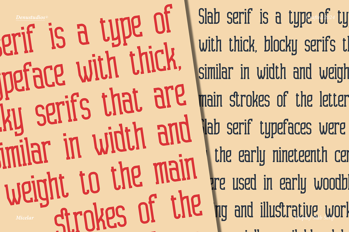 Micelar | Display Slab Serif, a Slab Serif Font by Denustudios (Photo 4 of 15)