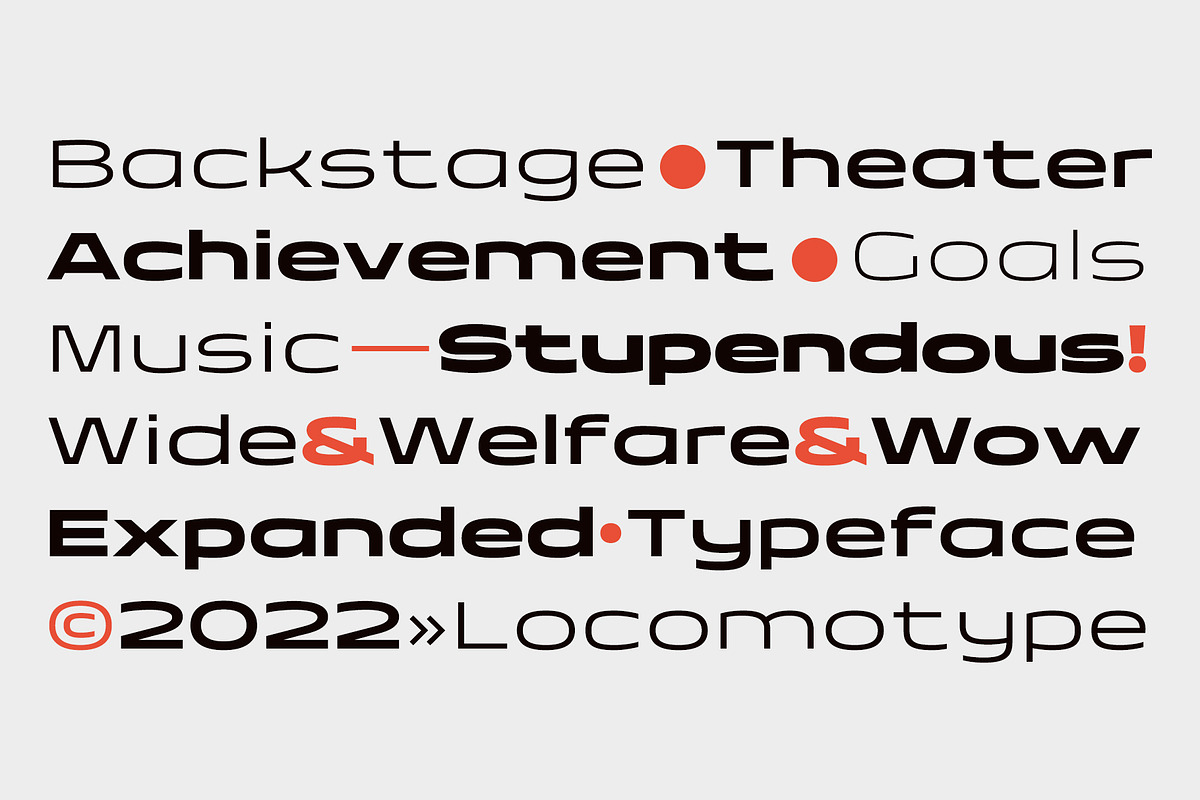 Taruno Wide Font Family, a Sans Serif Font by Locomotype (Photo 7 of 13)