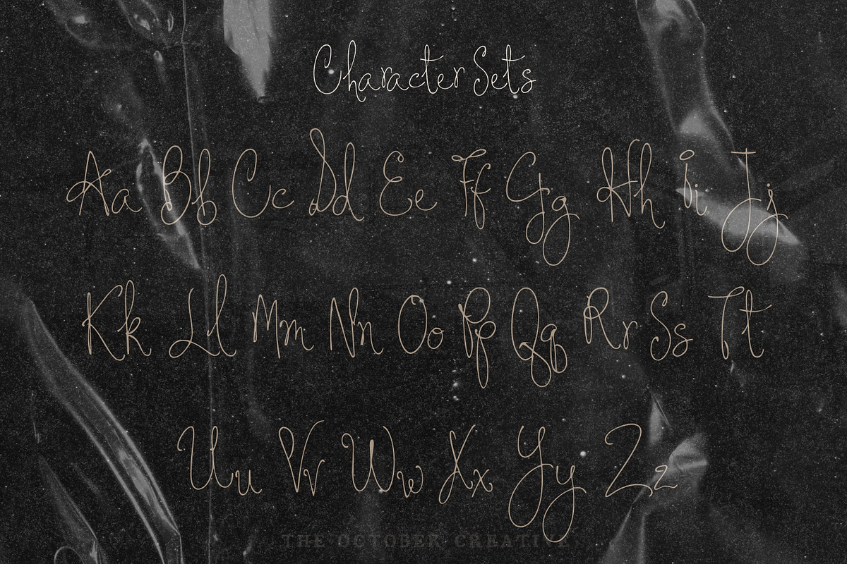 The Cecily Show Signature Font, a Script Font by The October Creative (Photo 3 of 8)
