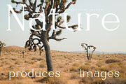 Haritego - Modern Serif, a Font by AmorfaType (Thumbnail 6 of 10)