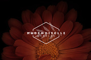 Floral logo templates, a Branding & Logo Template by Nues Design (Thumbnail 13 of 17)