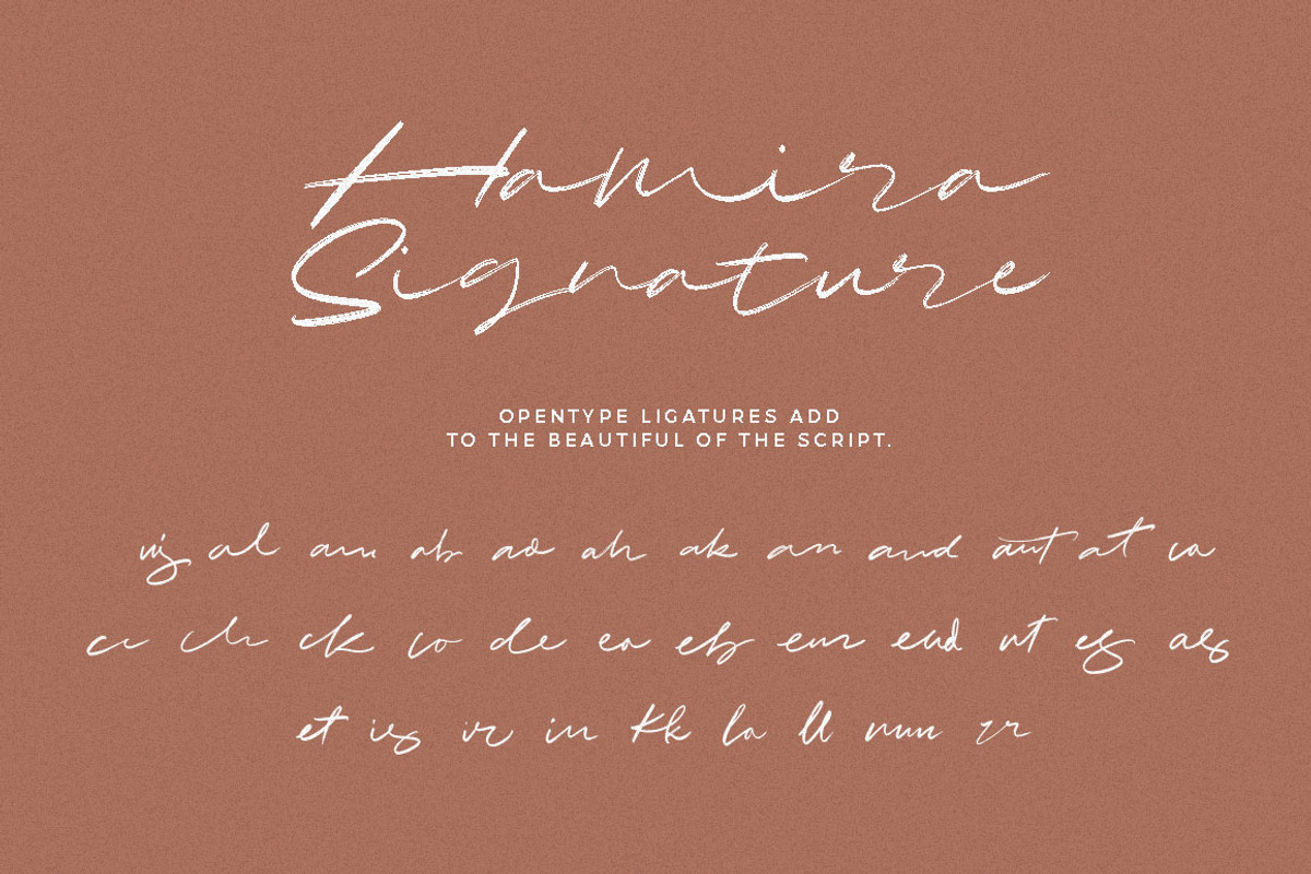 Hamira - Signature Brush Font, a Script Font by Dirtytemp Studio (Photo 14 of 14)