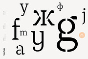 TT Tricks, a Serif Font by TypeType (Thumbnail 4 of 10)