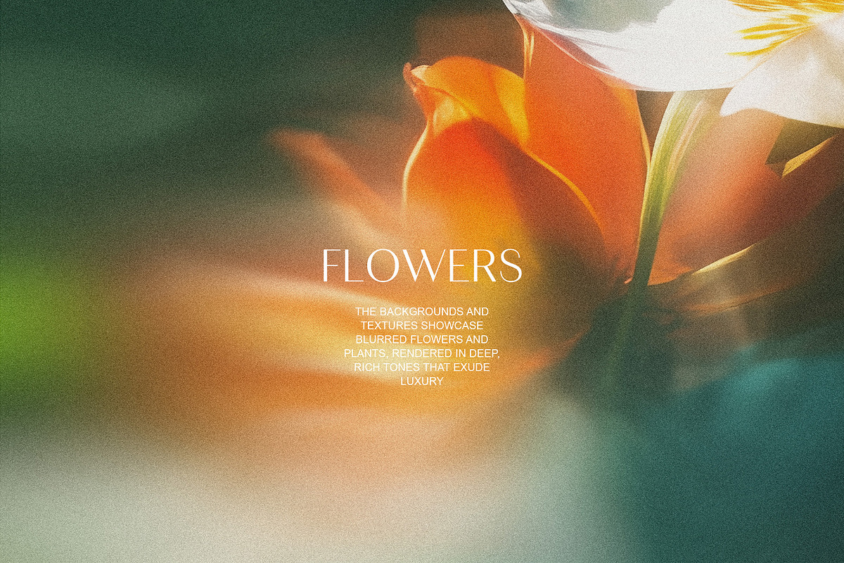 Light Flora Collection, a Background Graphic by NKate (Photo 9 of 12)