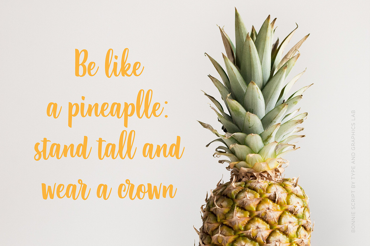 Bonnie Script, a Script Font by Type and Graphics Studio (Photo 6 of 9)