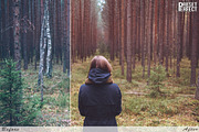 Autumn Bloom Lightroom Presets, an Action Add-On by Preset Perfect (Thumbnail 4 of 5)