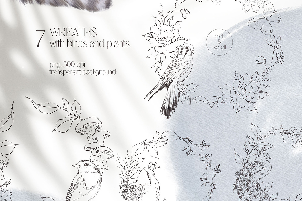 Charming forest - BUNDLE 4 in 1, a Decorative Illustration by Yuliia Lashevska (Photo 12 of 26)