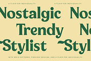 Milan Wulko Alternate Bold Serif, a Serif Font by timelesstype.co (Thumbnail 16 of 20)