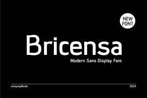 Bricensa - Modern Sans Serif Display