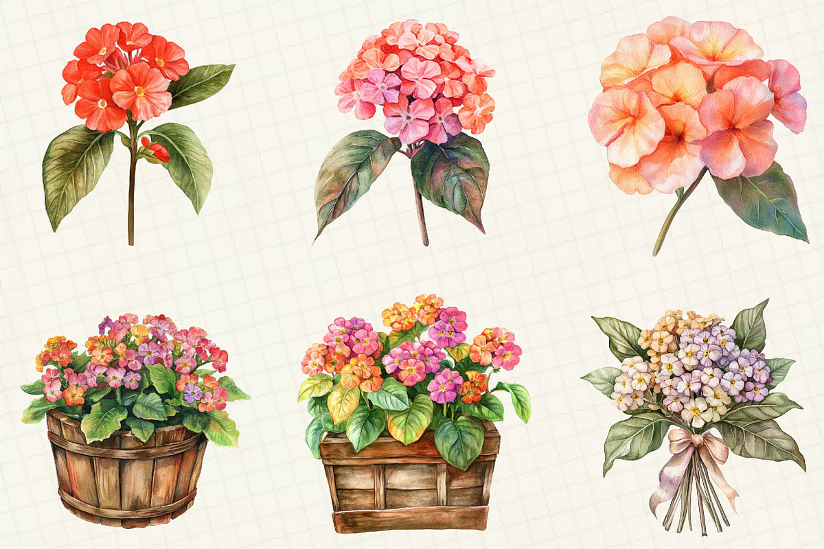 Watercolor Lantana Flower Clipart, an Illustration by OK Design (Photo 3 of 5)