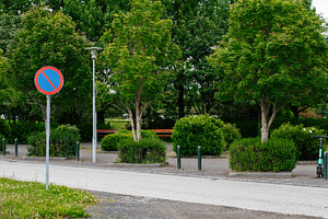 Street park area with trees and no parking sign in Reykjavik, Iceland, a Photo by AS photostudio