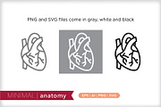 Minimal anatomy icons, an Outline Icon by Picture Window (Thumbnail 2 of 5)