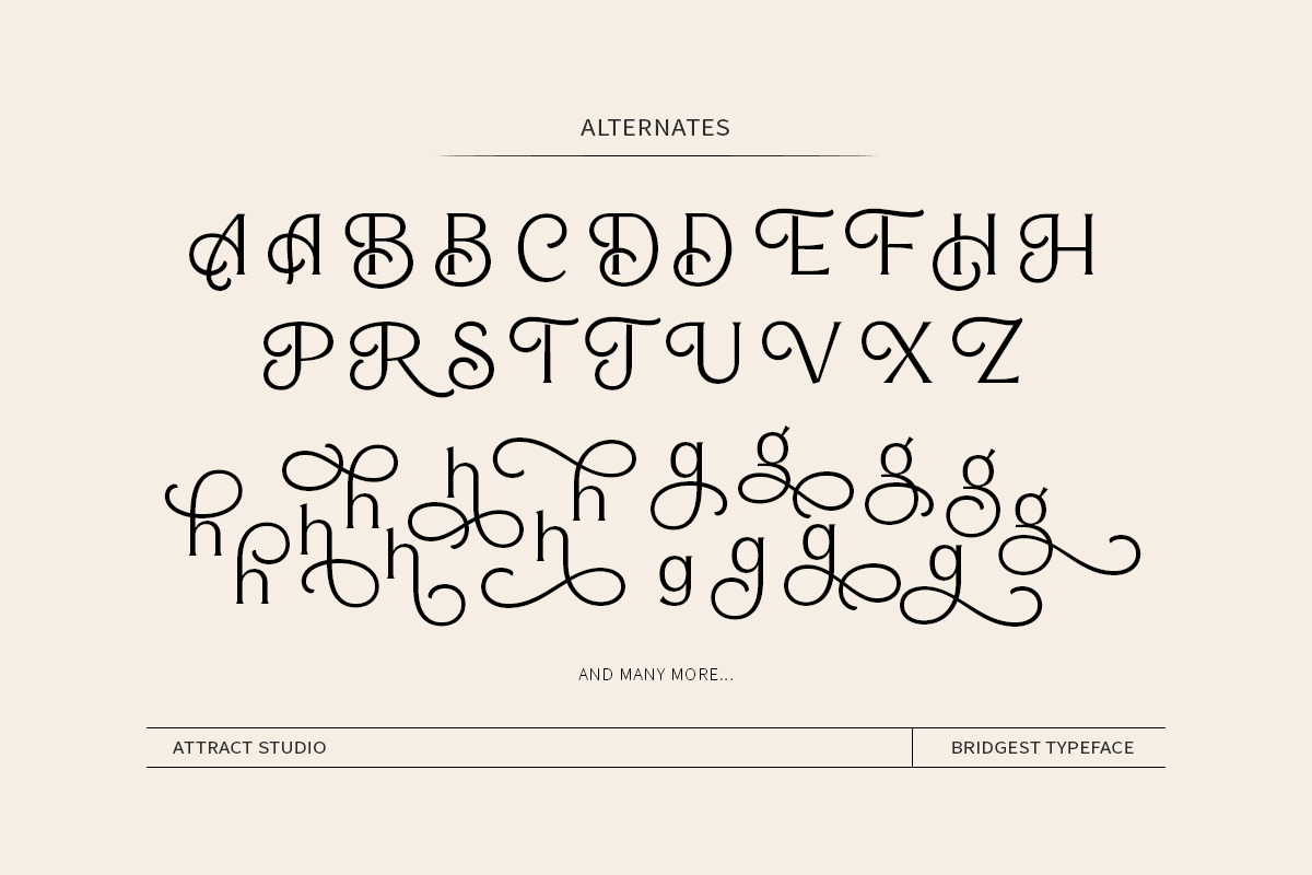 Bridgest, a Serif Font by Attract Studio (Photo 16 of 17)
