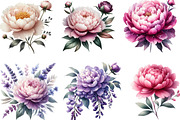 Pink & Purple Peony Flowers Clipart, an Illustration by Designking (Thumbnail 3 of 4)