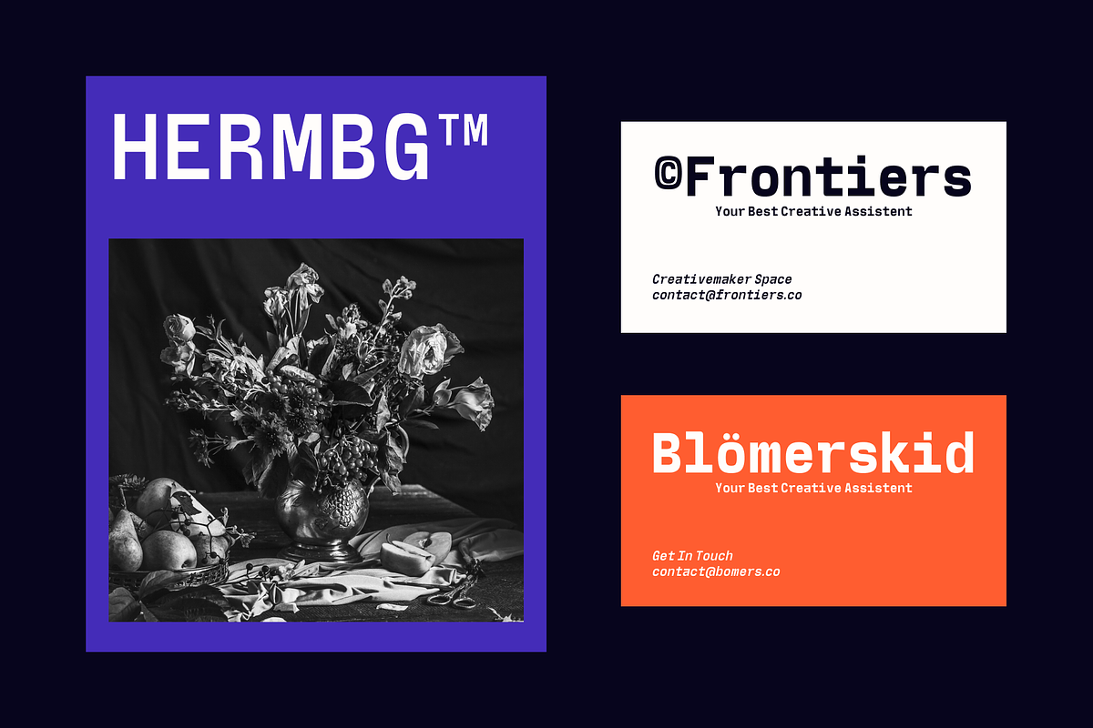 Wigola Mono - Monospace Family, a Sans Serif Font by Holyline Design (Photo 8 of 15)