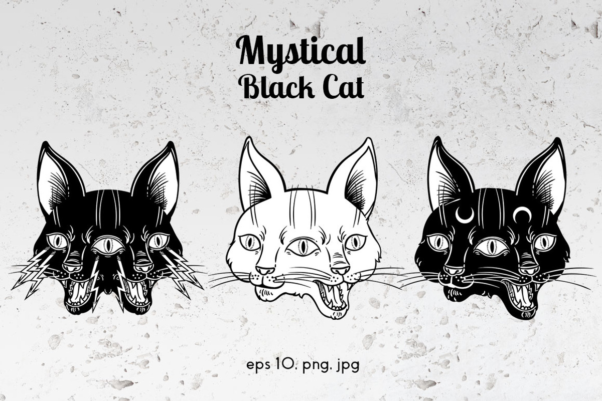 Mystical Black Cat, an Object Graphic by Anastasia (Photo 9 of 15)